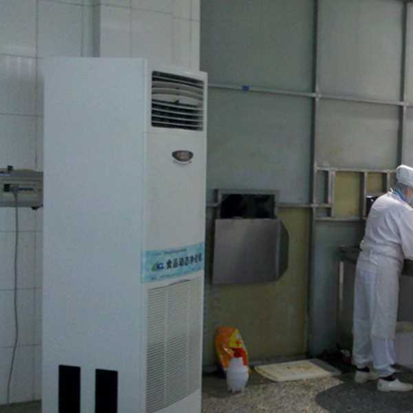 莆田食品正负离子空气杀菌器